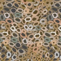 dreaming tracks pipis lismore 