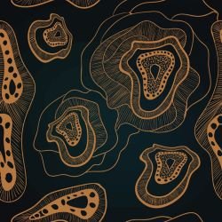 ngoolark night bimbi