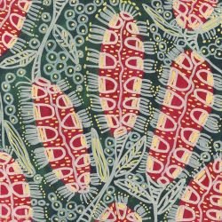 whadjuk dreaming bush medicine 