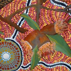 whadjuk dreaming six seasons of dreaming gumnuts 