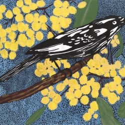 whadjuk dreaming wattleseed dreaming 