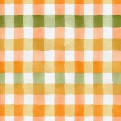 painted parade peachy plaids
