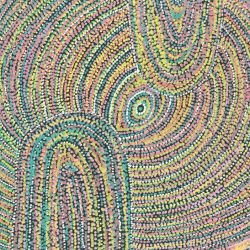 whadjuk dreaming home amongst the wildflowers 