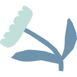 playful pops breezy bloom ocean