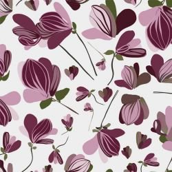 wildstralia breathtaking untamed 