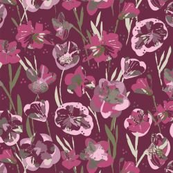 wildstralia firecrackers untamed 