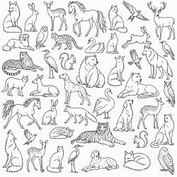 silhouette flora and fauna   animal outlines black white