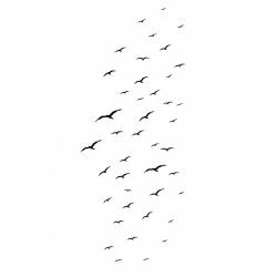 silhouette flora and fauna   bird flight black white