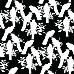 silhouette flora and fauna   botanical birdsong black white