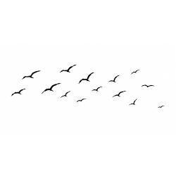 silhouette flora and fauna  bird flock black white
