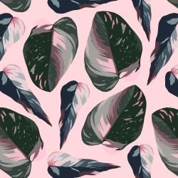 sundrenched foliage bondi botany candy 