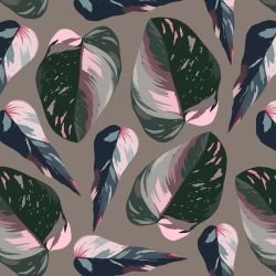 sundrenched foliage bondi botany griege 