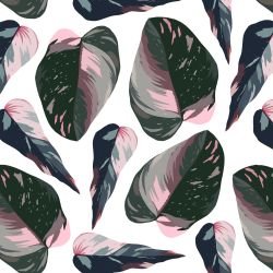 sundrenched foliage bondi botany white 