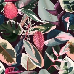 sundrenched foliage florida flora eggplant 