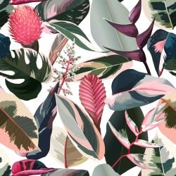 sundrenched foliage florida flora white 