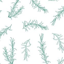 leaf outlines herb bunch marine white