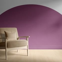 the arch edit concept semicircle arc orchid