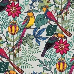 rainbow jungle tropical treasures multi