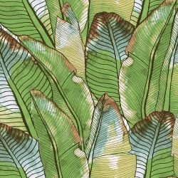 tropical medley watercolour banana leaf original