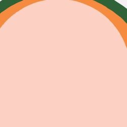 wallscapes little rays peach green 